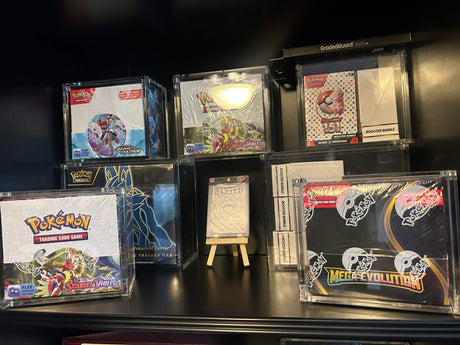 Trading Cards richtig lagern: Sealed Displays &amp; Cases schützen